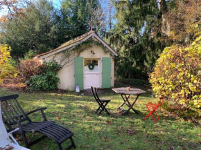 Maisonnette en clairière de forêt